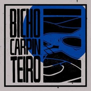 BICHO CARPINTEIRO