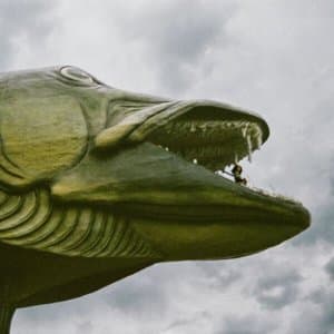 The Brightest Silver Fish