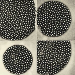 Resting Forms