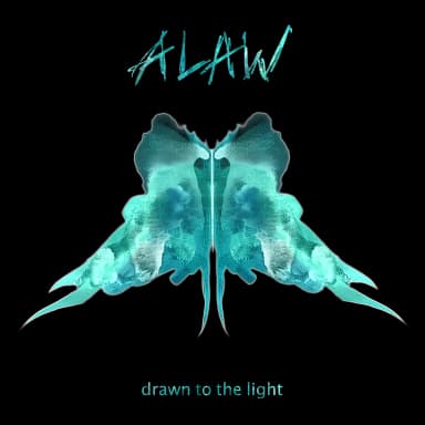 Drawn to the Light