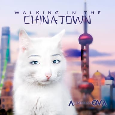 Walking in the Chinatown