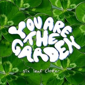 Six Leaf Clover