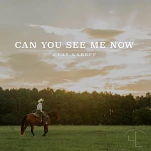 Can You See Me Now