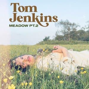 Meadow Pt.2
