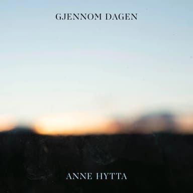 Gjennom dagen