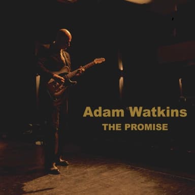 The Promise