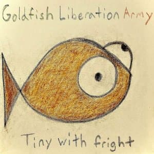 Tiny With Fright