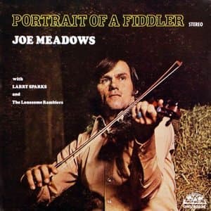 Portrait of a Fiddler
