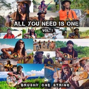 All You Need Is One, Vol.1