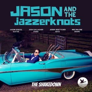 The Shakedown