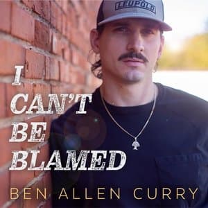 I Cant Be Blamed