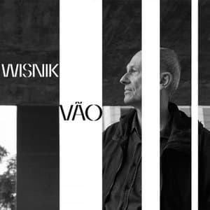 Vao