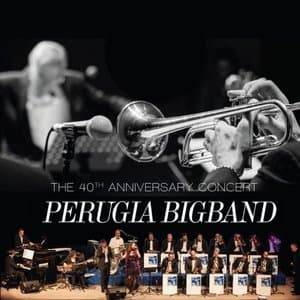 The 40th Anniversary Concert