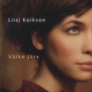Vaike jarv