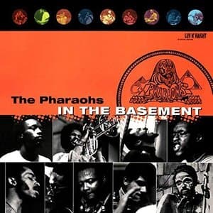 In The Basement