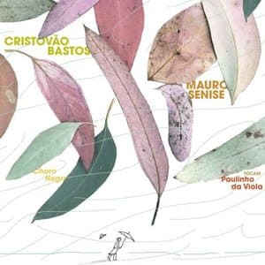 Choro Negro - Cristovao Bastos e Mauro Senise Tocam Paulinho da Viola