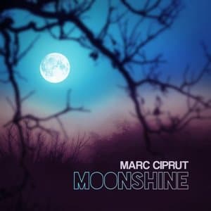 Moonshine