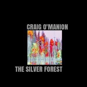The Silver Forest