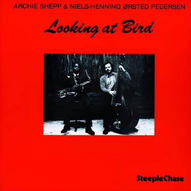 Looking At Bird