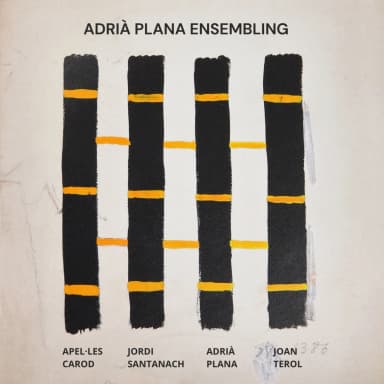 Adria Plana Ensembling