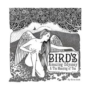 Birds Amazing Odyssey and the Meaning of Tea