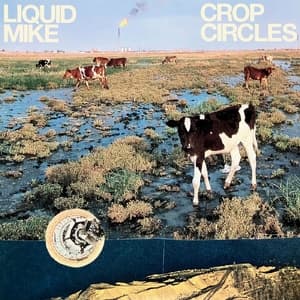 Crop Circles