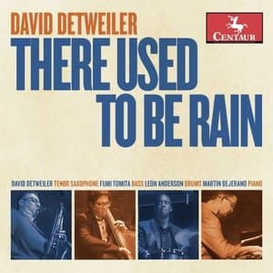 There Used to Be Rain