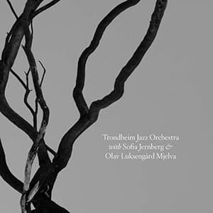 Trondheim Jazz Orchestra with Sofia Jernberg & Olav Luksengard Mjelva