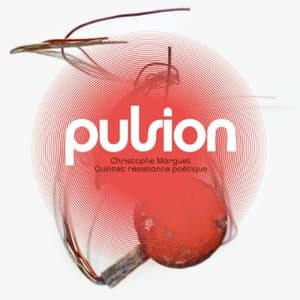 Pulsion