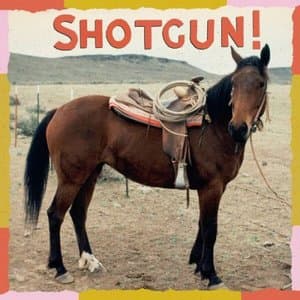 Shotgun