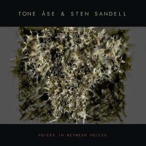 Voices in Between Voices