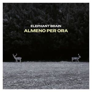 Almeno per ora