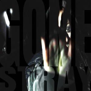 Gone Stray