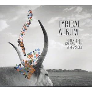 Lyrical Album