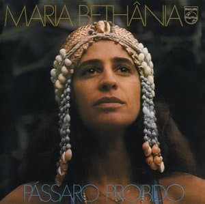 Passaro Proibido