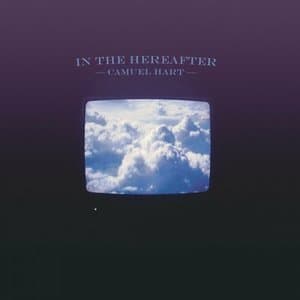 In The Hereafter