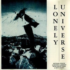 Lonely Universe