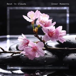 Inner Moments