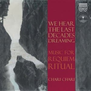 We Hear The Last Decades Dreaming