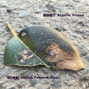 Kinetic Vision