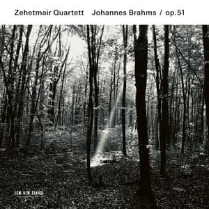 String Quartets Op. 51 Nos. 1 & 2 (Zehetmair Quartett)