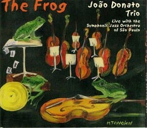 The Frog