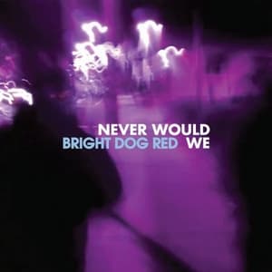 Never Would We