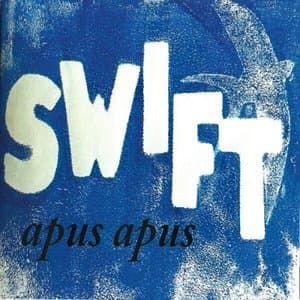 Apus Apus