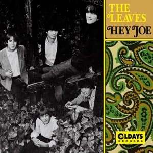 Hey Joe / All The Good Thats Happening