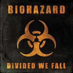 Divided We Fall