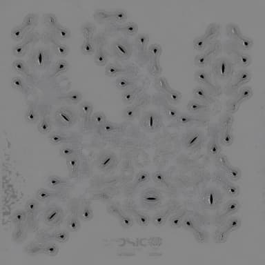 Dsic