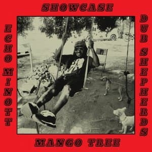 Mango Tree Showcase