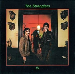 Stranglers IV (Rattus Norvegicus)