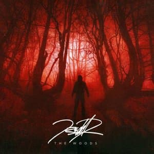 The Woods
